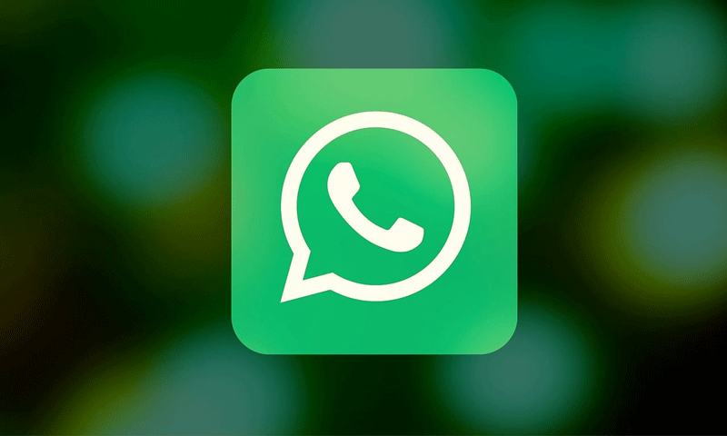 What does online mean on whatsapp